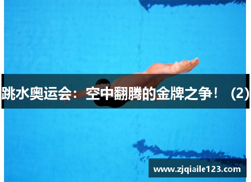 跳水奥运会：空中翻腾的金牌之争！ (2)